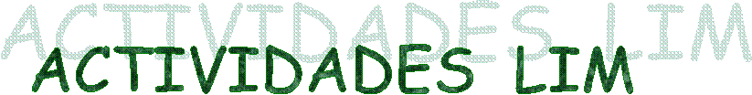 ACTIVIDADES  LIM