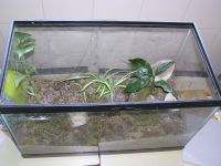 terrario