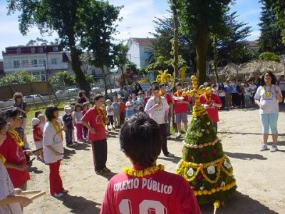 Preme para ver a foto ampliada