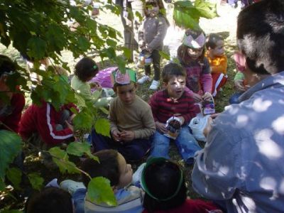 Preme para ver a foto ampliada