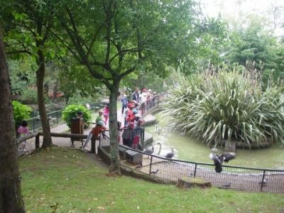 Preme para ver a foto ampliada