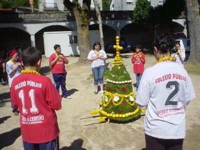 Preme para ver a foto ampliada