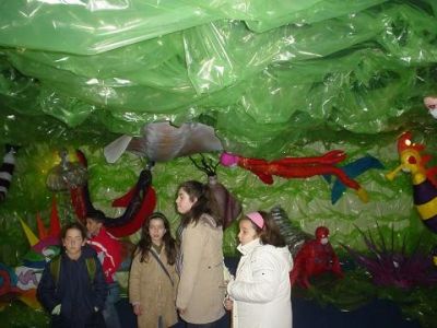 Preme para ver a foto ampliada