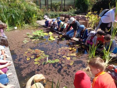 Preme para ver a foto ampliada