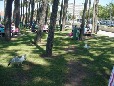 Preme para ver a foto ampliada