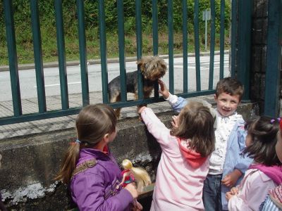 Preme para ver a foto ampliada