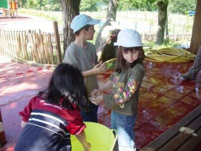 Preme para ver a foto ampliada