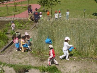 Preme para ver a foto ampliada