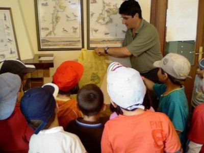 Preme para ver a foto ampliada