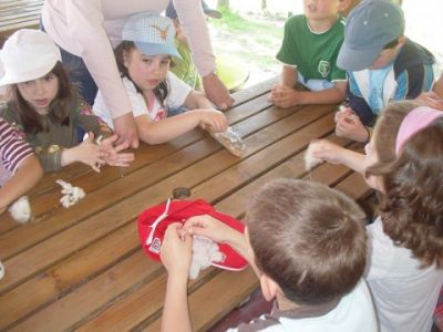 Preme para ver a foto ampliada