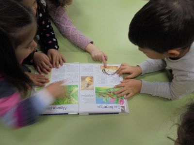 Preme para ver a foto ampliada