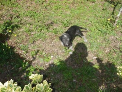 Preme para ver a foto ampliada