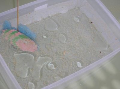 Preme para ver a foto ampliada