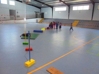 Preme para ver a foto ampliada