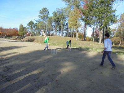 Preme para ver a foto ampliada