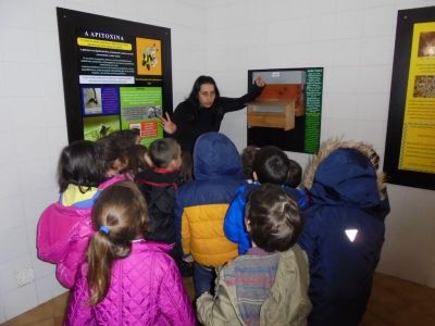 Preme para ver a foto ampliada