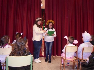 Preme para ver a foto ampliada