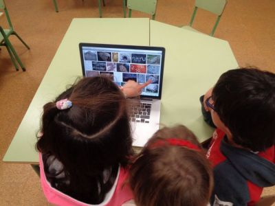 Preme para ver a foto ampliada