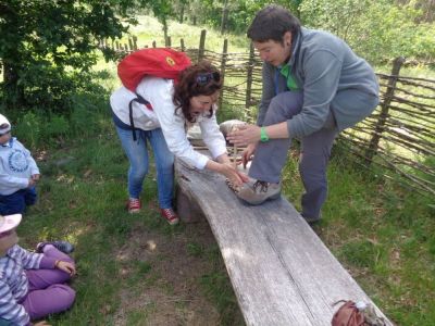 Preme para ver a foto ampliada