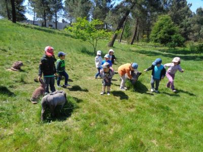 Preme para ver a foto ampliada