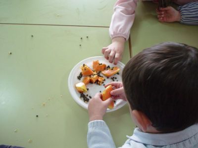 Preme para ver a foto ampliada