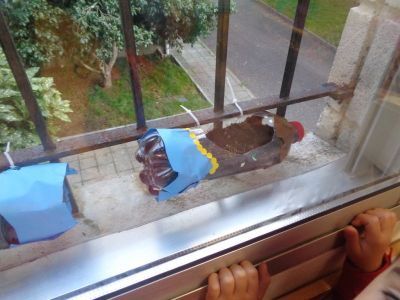 Preme para ver a foto ampliada