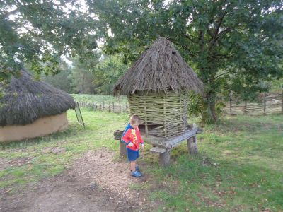 Preme para ver a foto ampliada