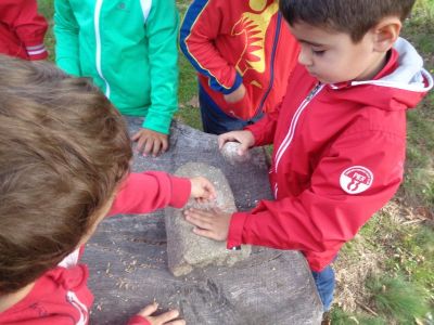 Preme para ver a foto ampliada