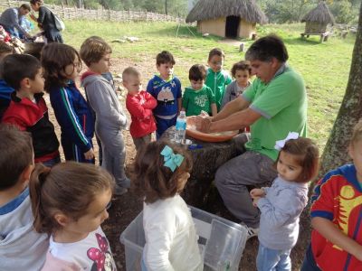 Preme para ver a foto ampliada