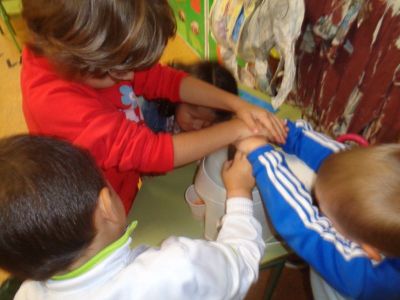 Preme para ver a foto ampliada