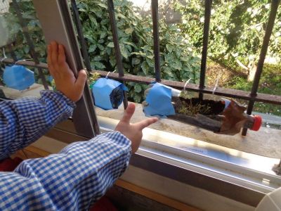 Preme para ver a foto ampliada