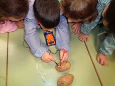 Preme para ver a foto ampliada