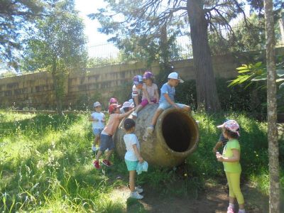 Preme para ver a foto ampliada