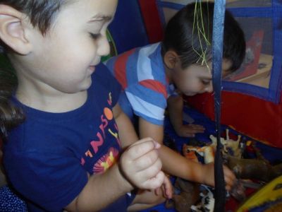 Preme para ver a foto ampliada