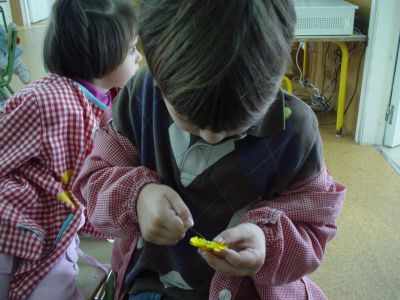 Preme para ver a foto ampliada