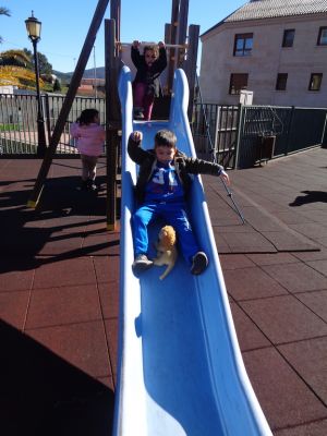 Preme para ver a foto ampliada