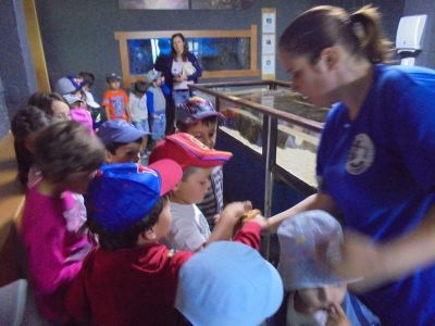 Preme para ver a foto ampliada