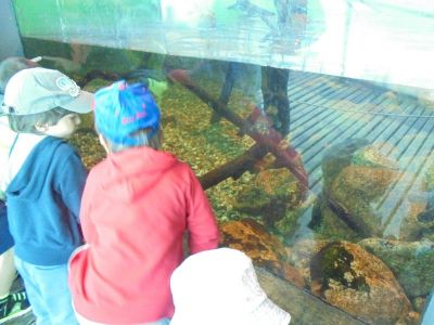 Preme para ver a foto ampliada