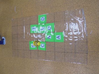 Preme para ver a foto ampliada