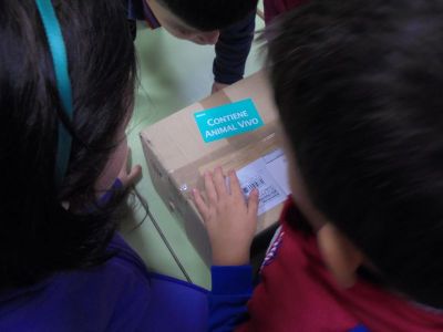 Preme para ver a foto ampliada