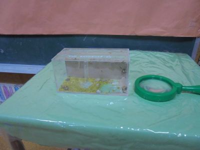 Preme para ver a foto ampliada