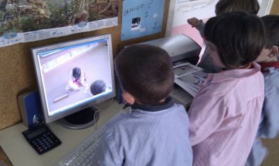 Preme para ver a foto ampliada