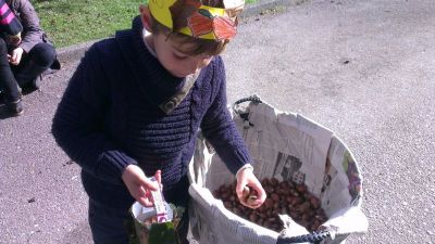 Preme para ver a foto ampliada