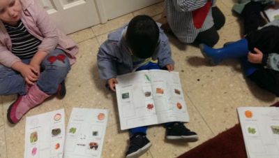 Preme para ver a foto ampliada