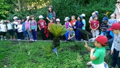 Preme para ver a foto ampliada