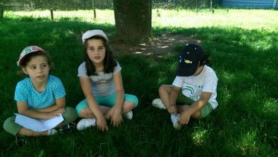 Preme para ver a foto ampliada