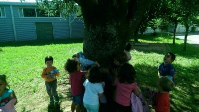 Preme para ver a foto ampliada