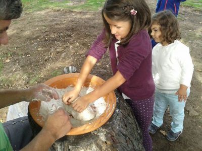 Preme para ver a foto ampliada