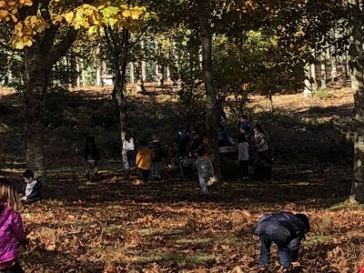 Preme para ver a foto ampliada