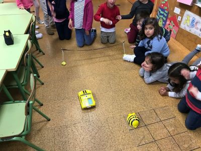 Preme para ver a foto ampliada